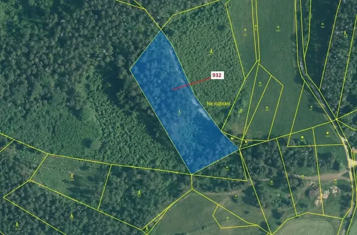 Dražba lesa, Rabí, 7006 m2