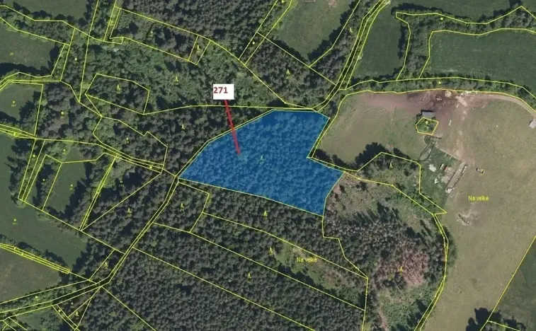 Dražba lesa, Zálezly, 8937 m2