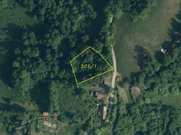 Dražba louky, Líšný, 1958 m2