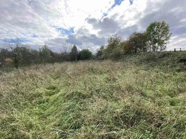 Dražba pozemku pro bydlení, Javorník, 1651 m2