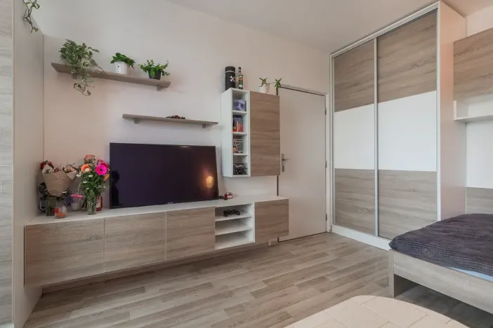 Prodej bytu 1+1, Olomouc - Nová Ulice, Hraniční, 34 m2