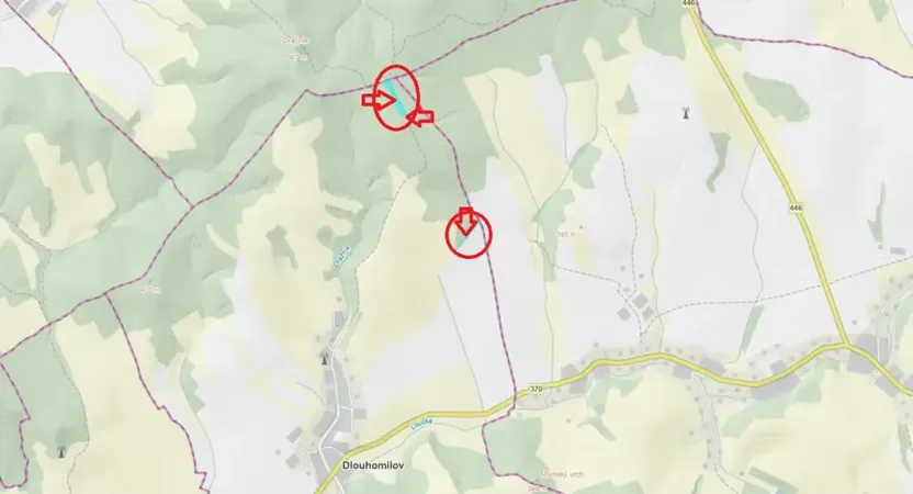 Prodej podílu lesa, Dlouhomilov, 1463 m2
