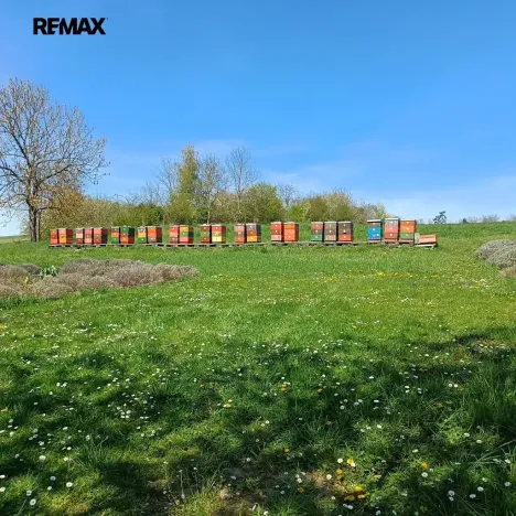 Prodej pozemku pro bydlení, Beřovice, 534 m2