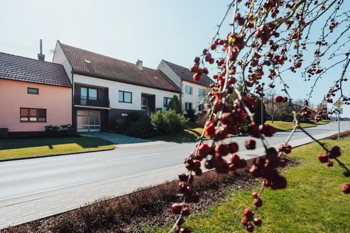 Prodej rodinného domu, Nedachlebice, 410 m2