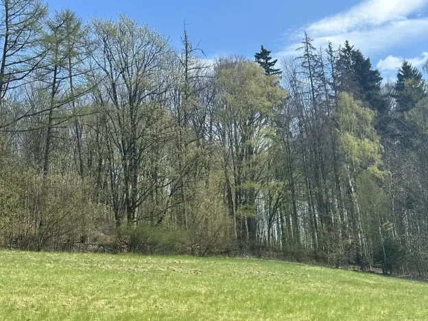 Prodej lesa, Loužnice, 5723 m2