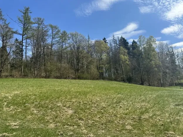 Prodej lesa, Loužnice, 5723 m2
