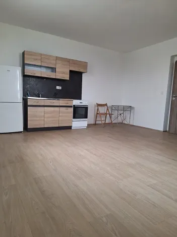 Pronájem bytu 1+kk, Chotěšov, Ořechová, 38 m2