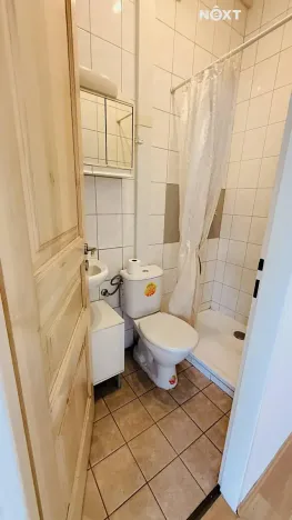 Pronájem bytu 1+kk, České Budějovice, Dobrovodská, 29 m2