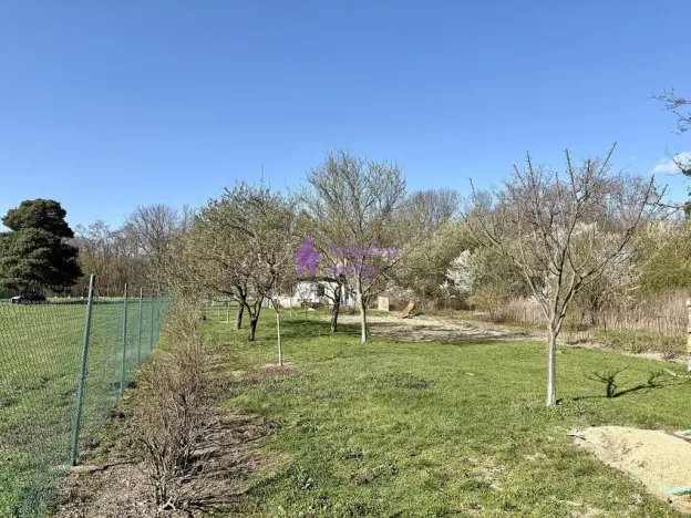 Pronájem zahrady, Olomouc - Hodolany, 1636 m2