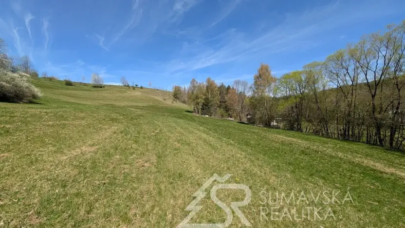 Prodej pozemku, Hartmanice - Chlum, 46489 m2