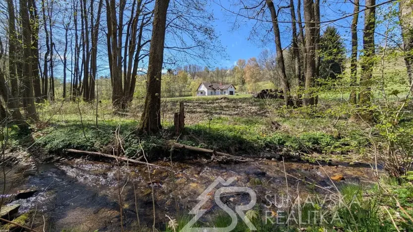 Prodej pozemku, Hartmanice - Chlum, 46489 m2