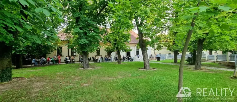 Prodej bytu 2+1, Praha - Dejvice, Krohova, 76 m2