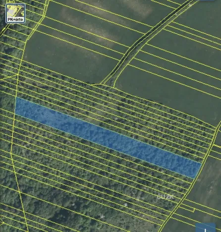 Prodej lesa, Šarovy, 11619 m2