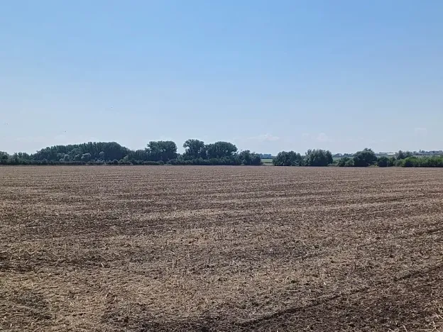 Prodej pozemku pro bydlení, Horka nad Moravou, 43000 m2