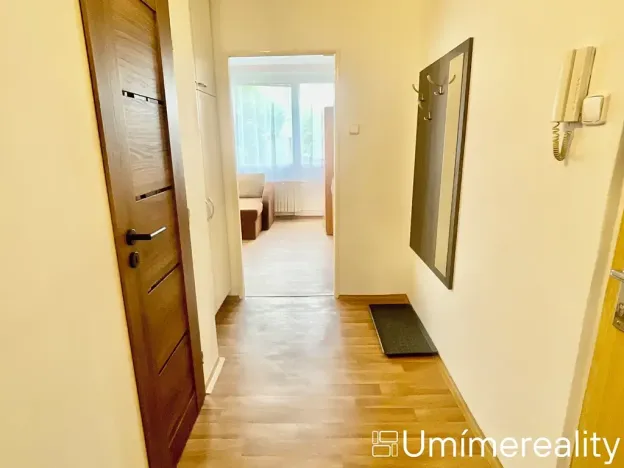 Pronájem bytu 1+1, Mladá Boleslav, Zalužanská, 42 m2