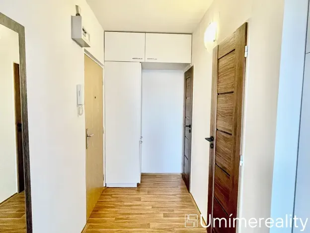 Pronájem bytu 1+1, Mladá Boleslav, Zalužanská, 42 m2