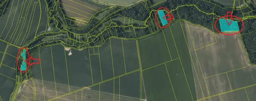 Prodej podílu lesa, Pertoltice, 4226 m2