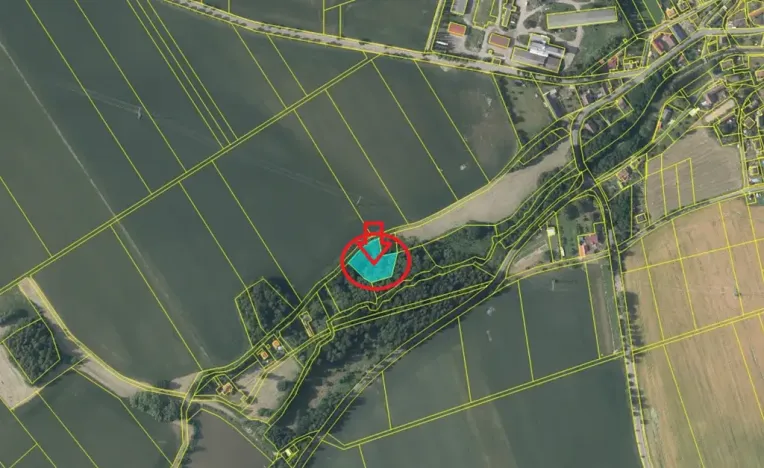 Prodej podílu lesa, Pertoltice, 4226 m2