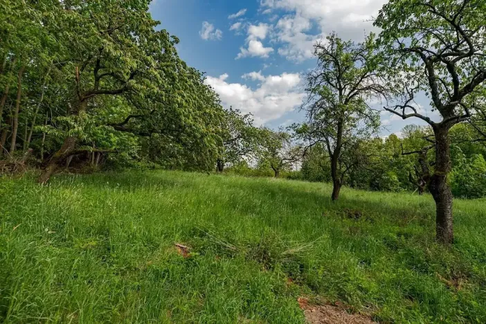 Prodej pozemku pro bydlení, Veliny, 1236 m2