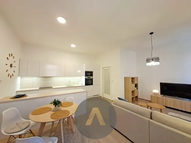 Pronájem bytu 2+kk, Brno, Leitnerova, 60 m2