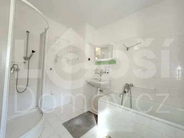 Prodej rodinného domu, Vlčice, 185 m2