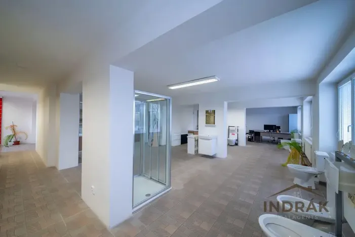 Prodej obchodního prostoru, Nový Jičín, Hřbitovní, 726 m2