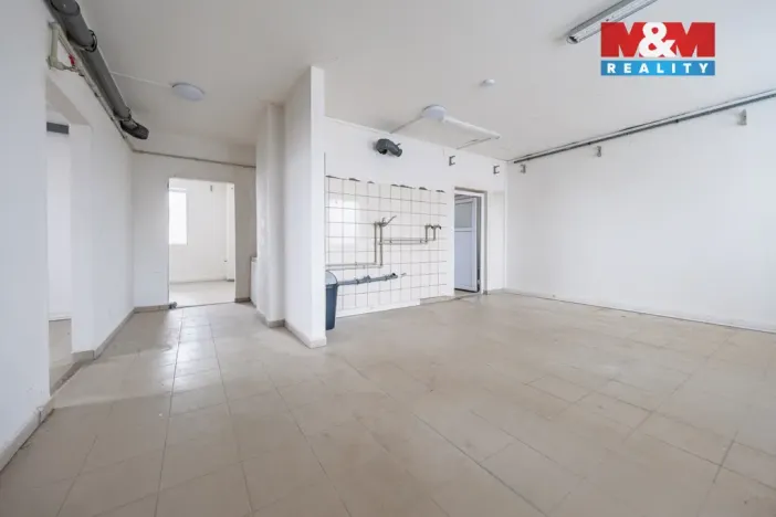 Pronájem obchodního prostoru, Příbram - Příbram VI-Březové Hory, K Podlesí, 326 m2