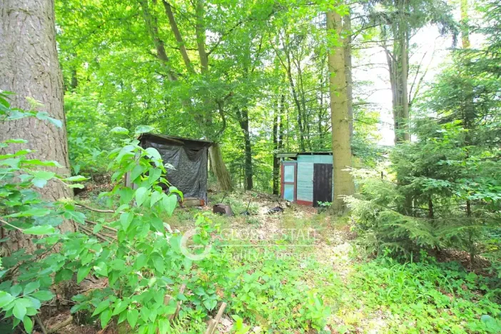 Prodej chaty, Černé Voděrady, 36 m2