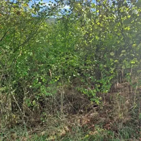 Prodej pozemku, Hlince, 192 m2