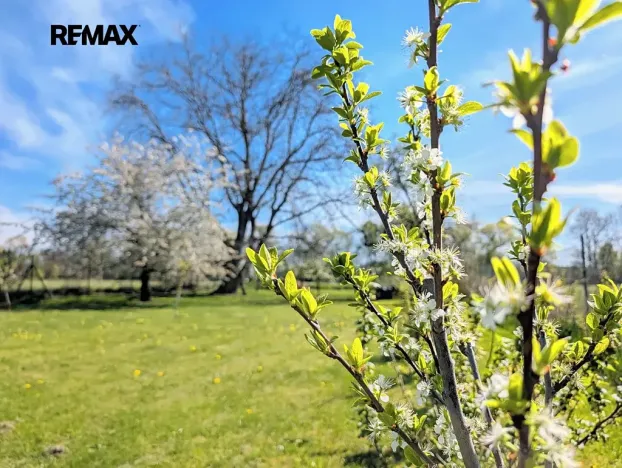 Prodej chaty, Tuněchody, 7 m2