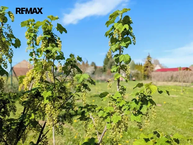 Prodej chaty, Tuněchody, 7 m2