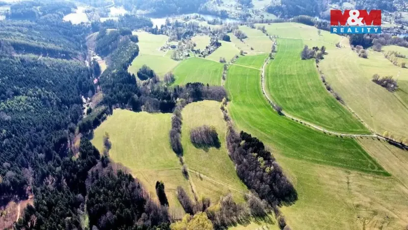 Prodej lesa, Pastviny, 8896 m2