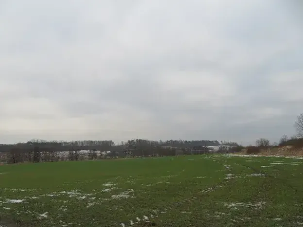 Dražba louky, Račice nad Trotinou, 18528 m2