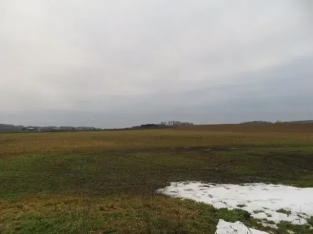 Dražba louky, Račice nad Trotinou, 18528 m2