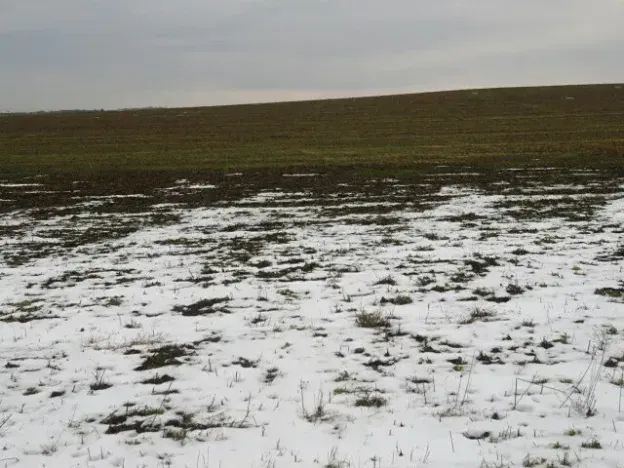 Dražba louky, Račice nad Trotinou, 18528 m2