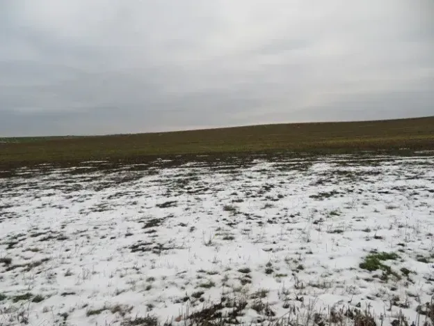 Dražba louky, Račice nad Trotinou, 18528 m2