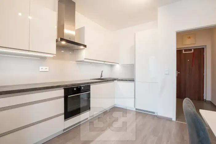 Pronájem bytu 1+kk, Beroun, Na Veselou, 44 m2