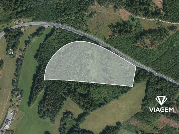 Prodej lesa, Loužnice, 41323 m2