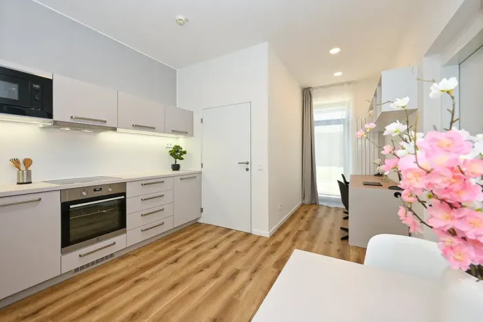 Pronájem bytu 2+kk, Brno - Bohunice, Studentská, 56 m2