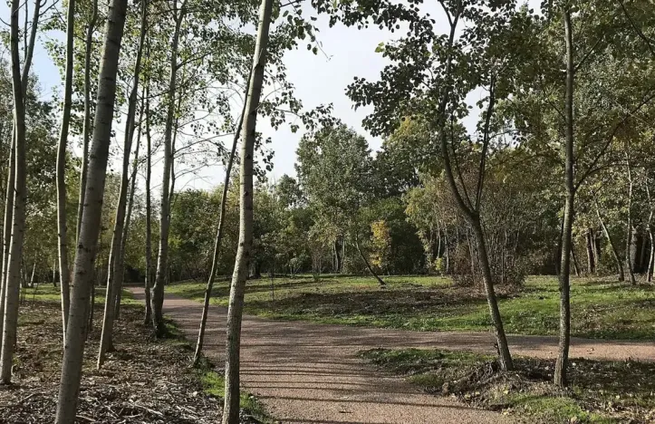 Prodej bytu 3+kk, Brno, Mírová, 66 m2