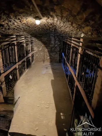 Pronájem obchodního prostoru, Kutná Hora, Václavské náměstí, 270 m2