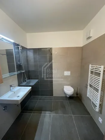 Pronájem bytu 1+kk, Praha - Vršovice, Pod soutratím, 37 m2