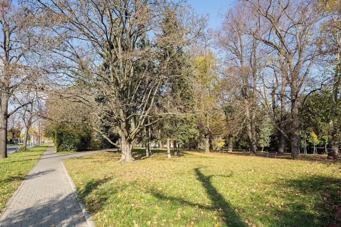 Prodej bytu 4+1, Brno, Jugoslávská, 120 m2