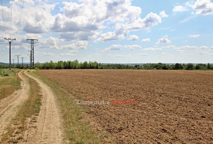 Prodej komerčního pozemku, Dobšice, 19700 m2