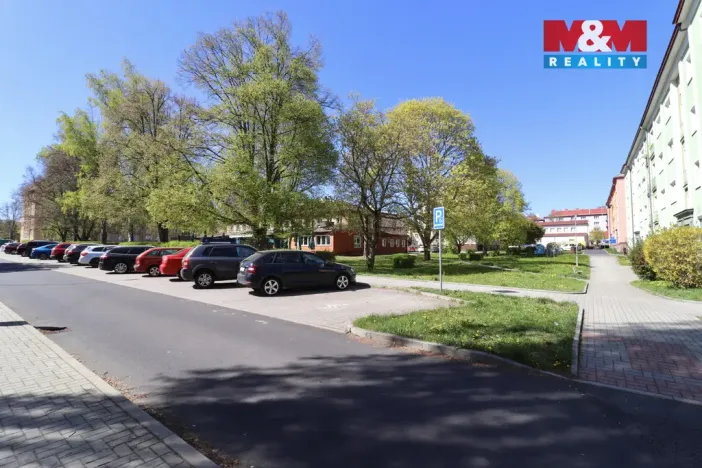 Pronájem bytu 2+1, Ostrov, S. K. Neumanna, 66 m2