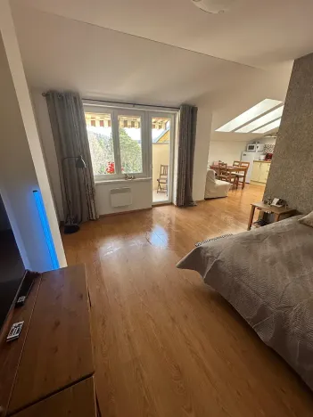 Pronájem bytu 1+kk, Slapy, 31 m2