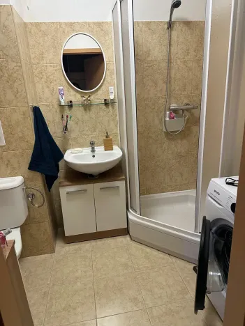 Pronájem bytu 1+kk, Slapy, 31 m2