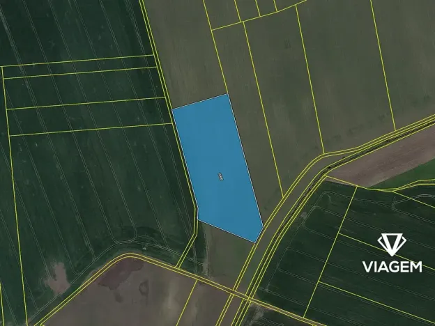 Prodej pole, Cholenice, 17822 m2