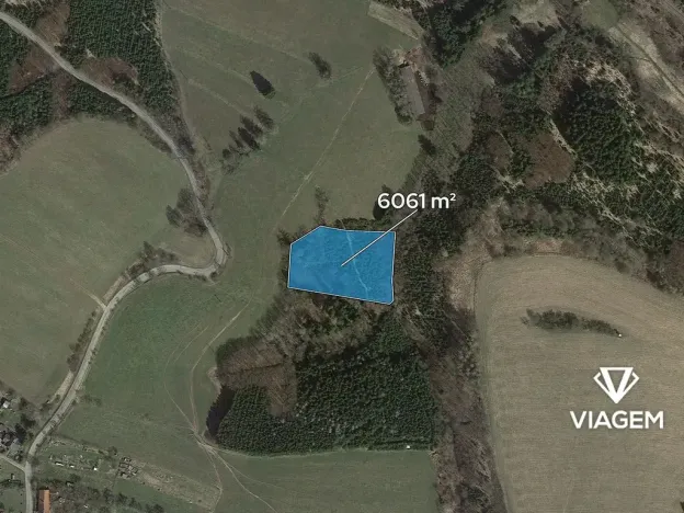 Prodej lesa, Řendějov, 6061 m2