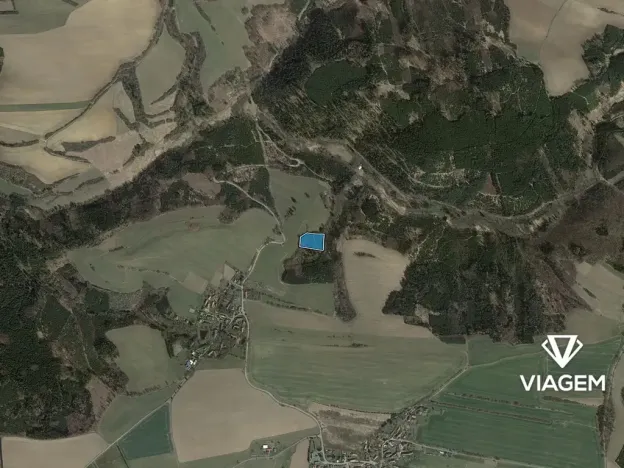Prodej lesa, Řendějov, 6061 m2